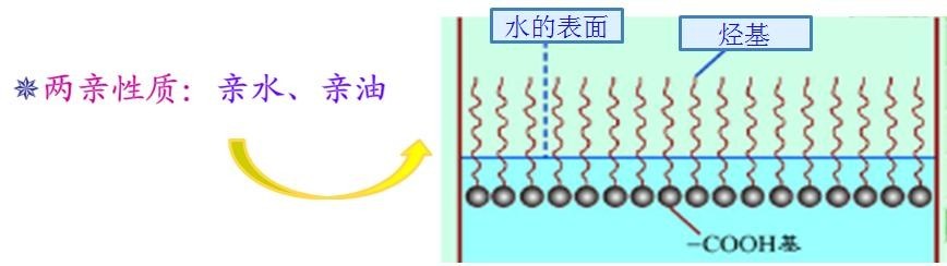 <a href='http://www.2619555.com/product/product-0001,0011,0018.shtml' class='keys' title='點擊查看關于潤濕劑的相關信息' target='_blank'>潤濕劑</a>