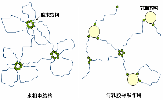 分散劑 增稠劑